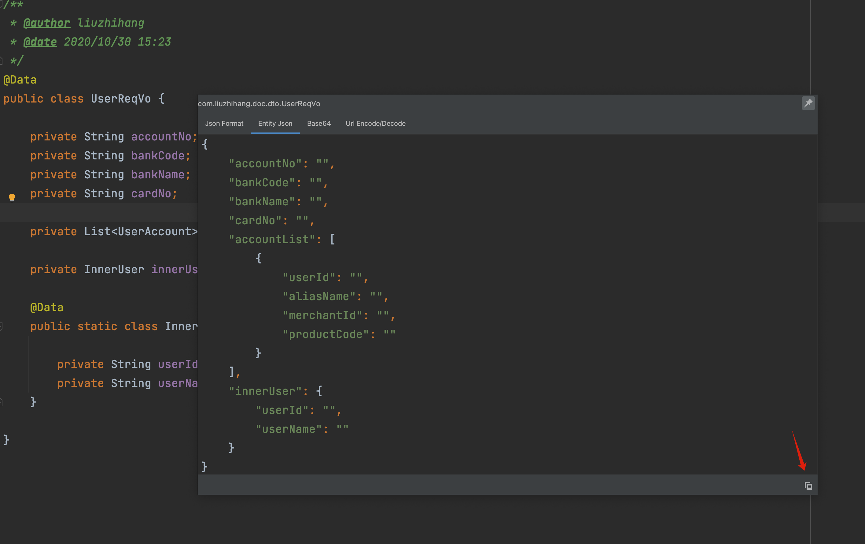 Entity Json