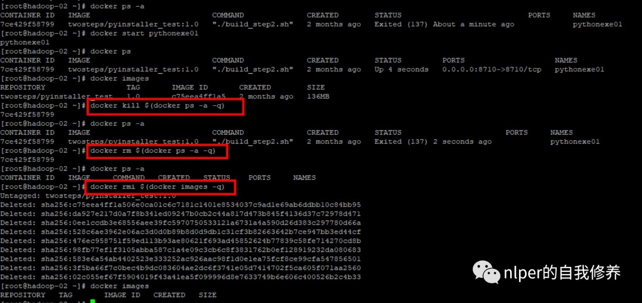 1docker删除所有容器和镜像