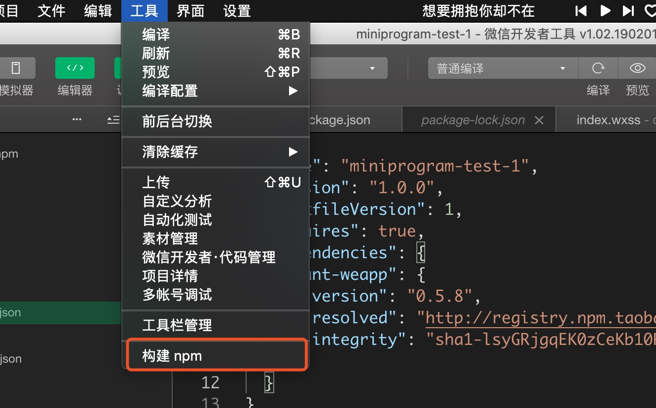 構建npm